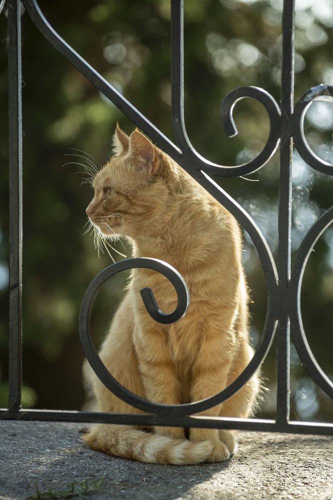 Photograph by Виктор Филипчук