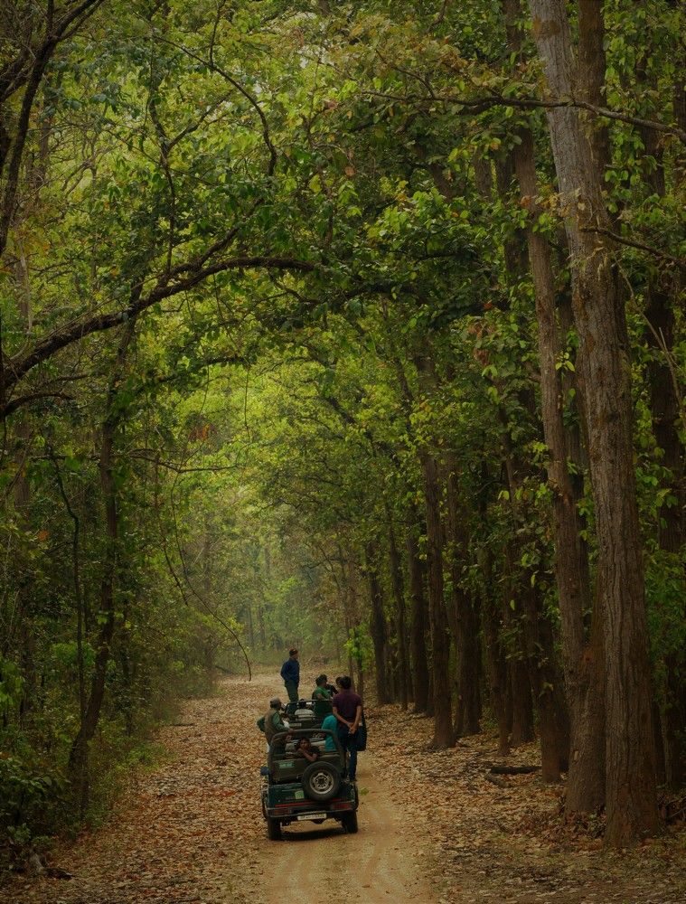 Photograph by Nirmalya Chakraborty