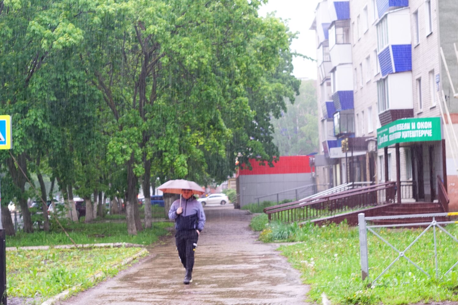 Photo #7656777