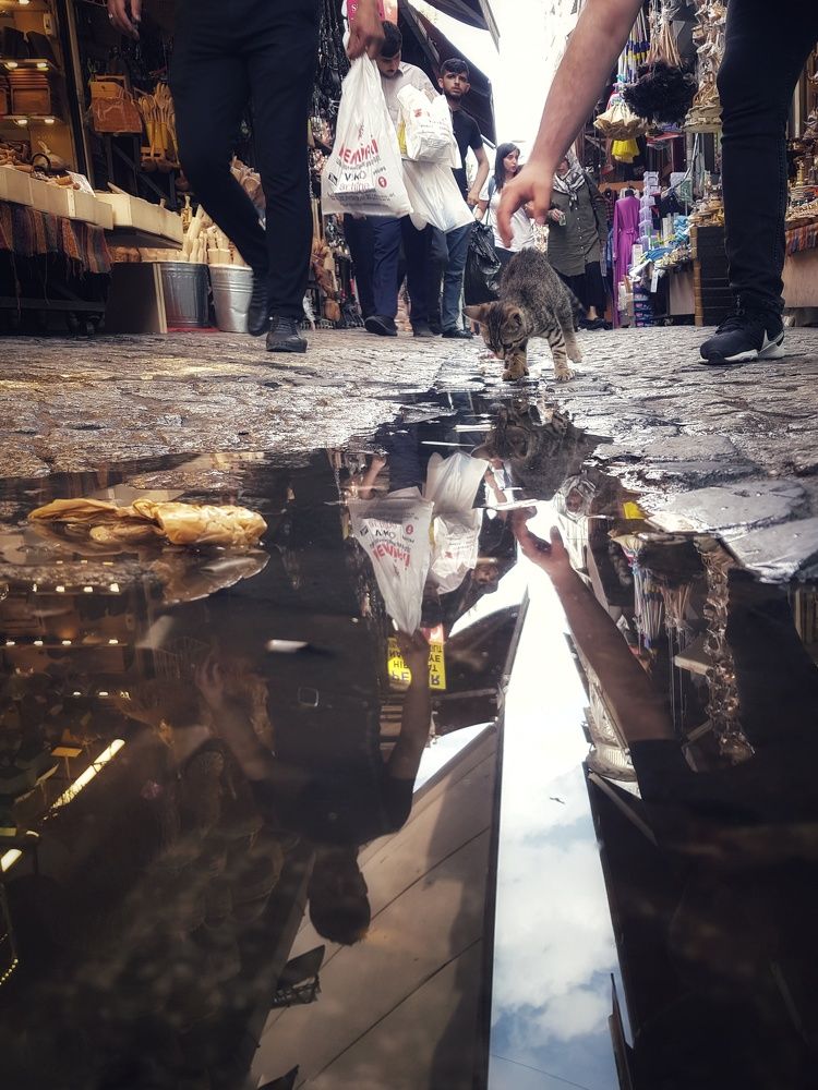 Photograph by fuat cimok