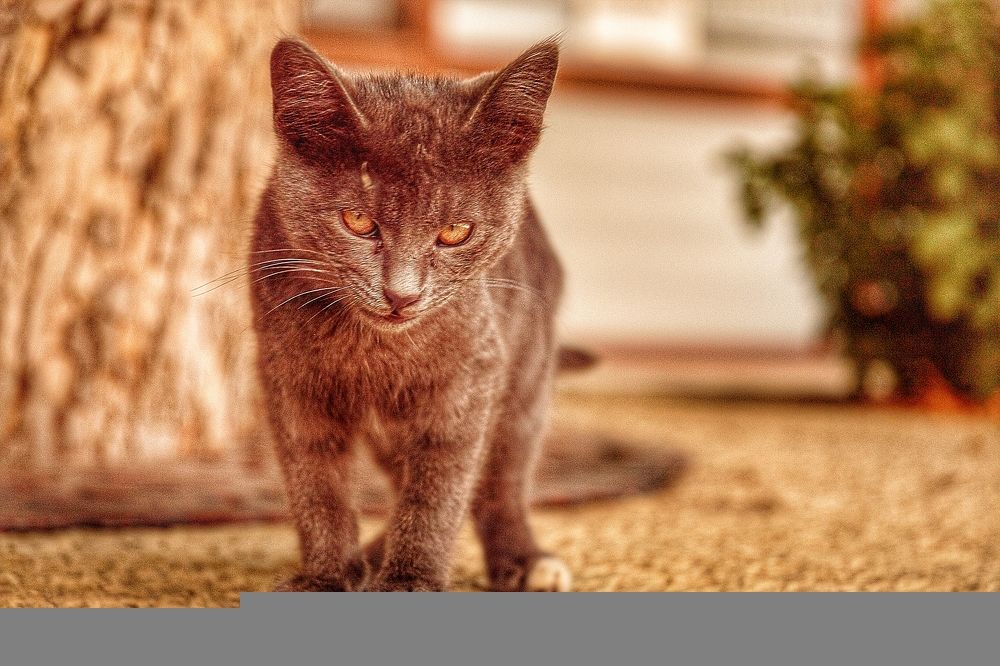 Photograph by Владимир Осипов