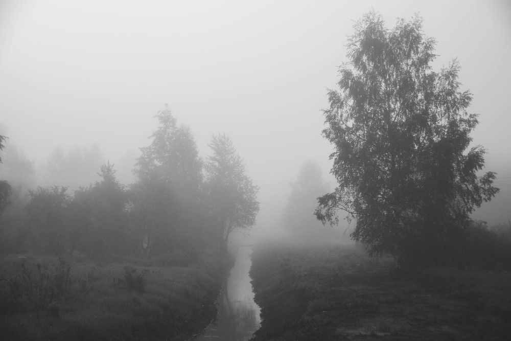 Фотография автора Aлексей Игнатьев