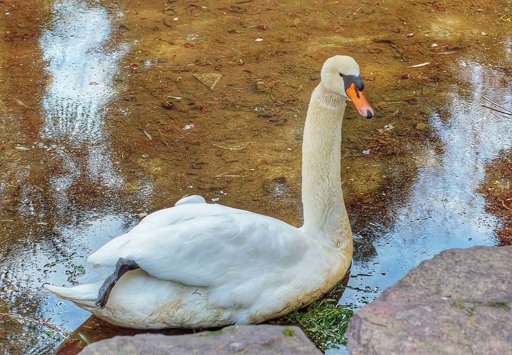 Photograph by Владимир Осипов