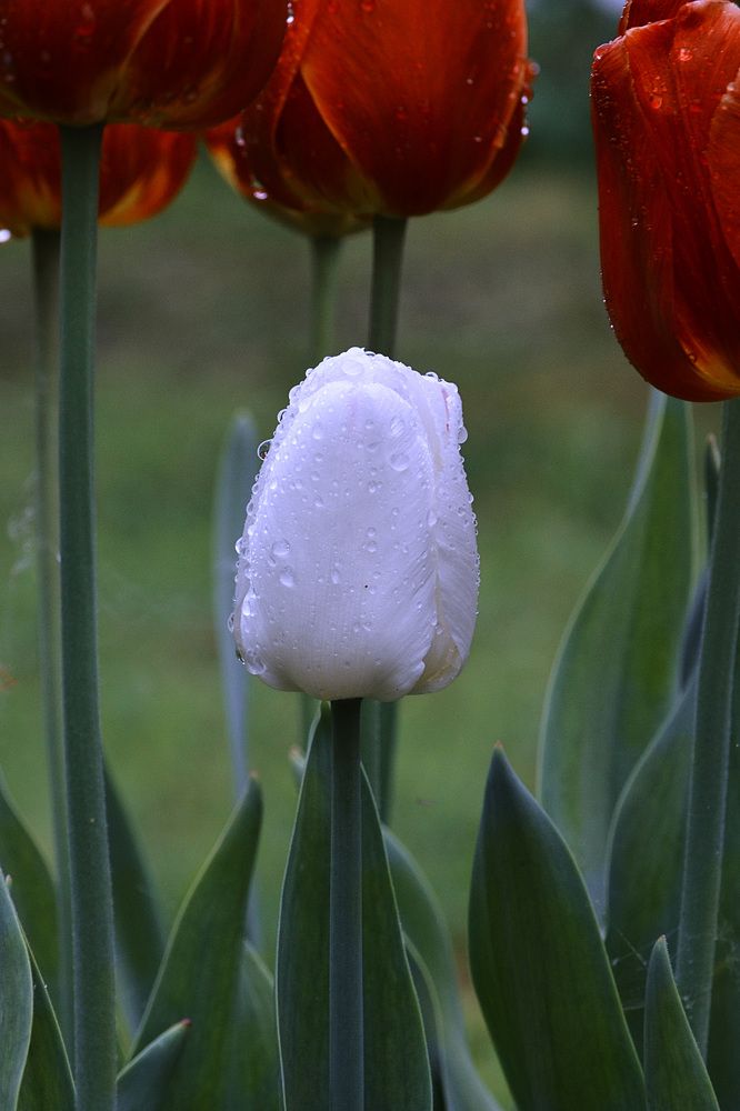 Photograph by Соколова Елена