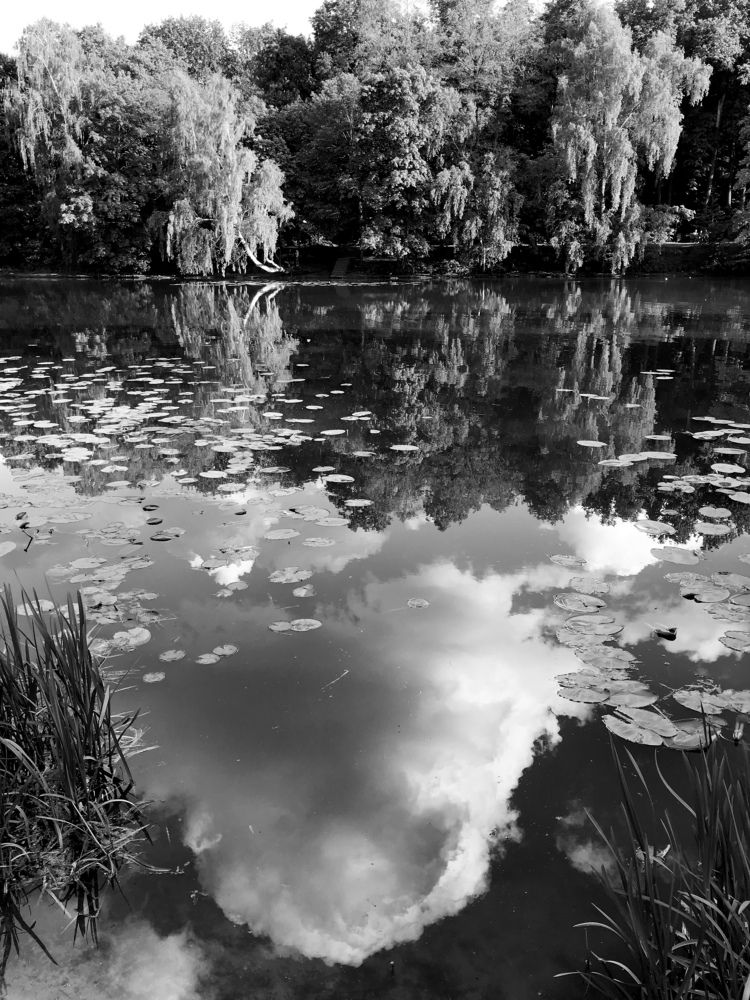 Photograph by Михаил Некрасов