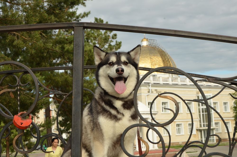 Photograph by Валентин Волк