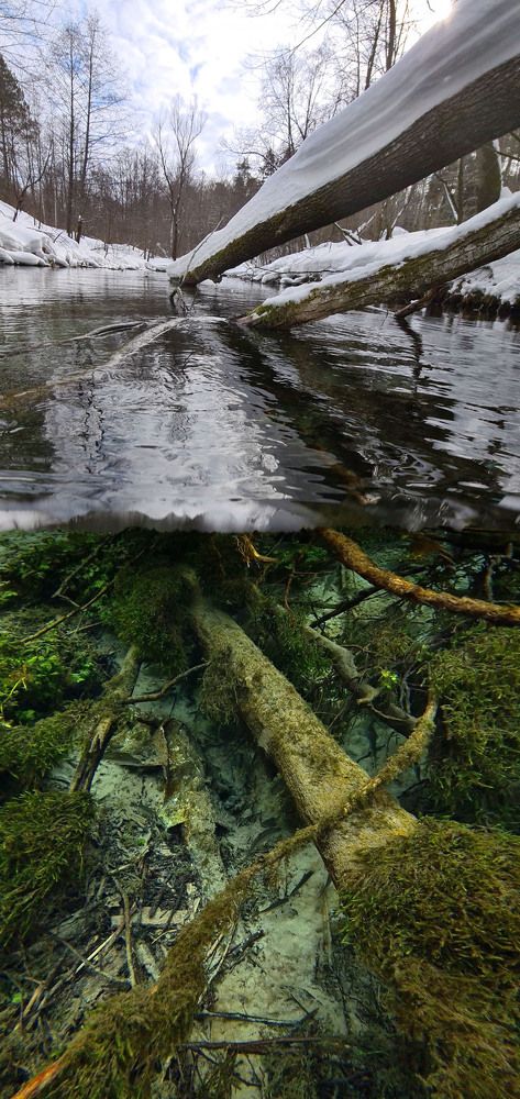 Фотография автора Эдуард VTORNIK  Николаев