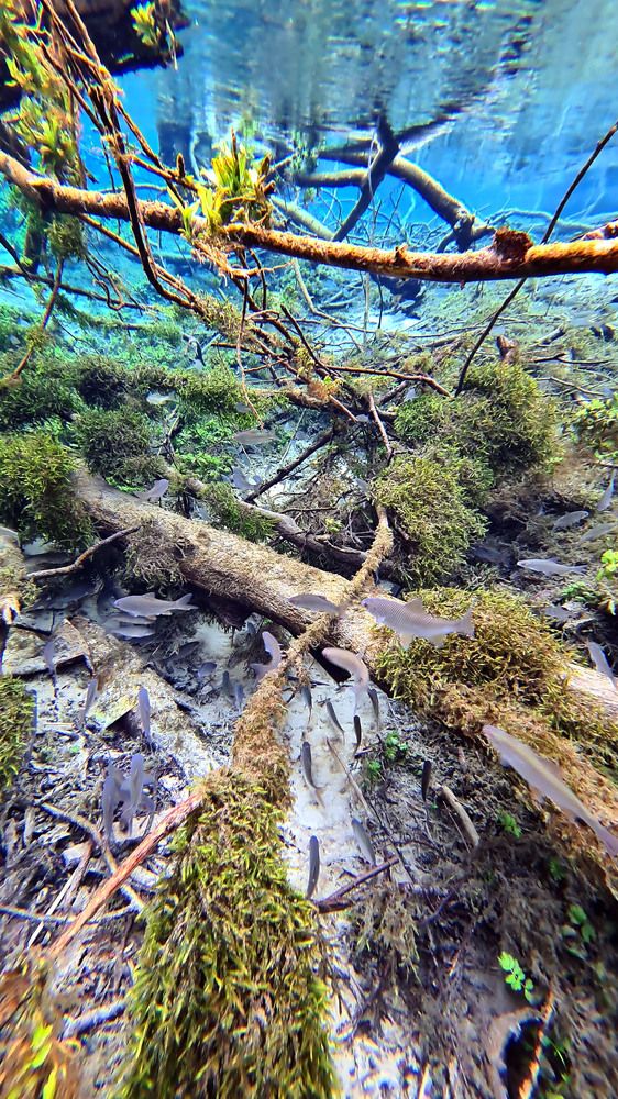 Фотография автора Эдуард VTORNIK  Николаев