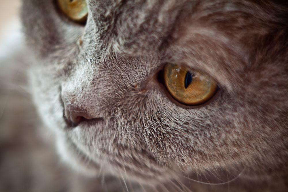 Photograph by Олег Терешкин