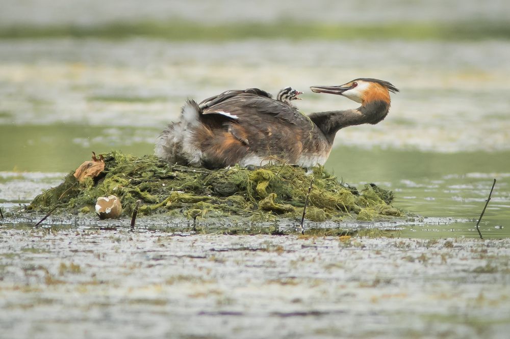Фотография автора Суслов Дмитрий