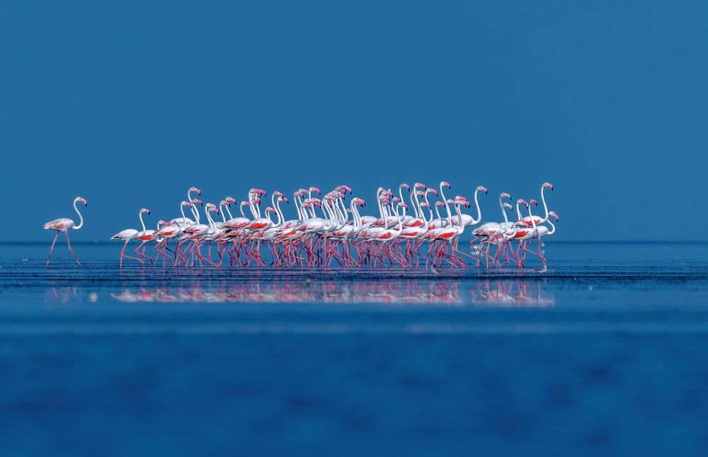 Photograph by Karthik Sriraman