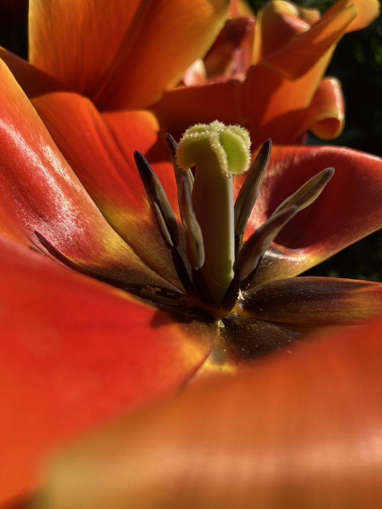 Photograph by Ирина Мошковская