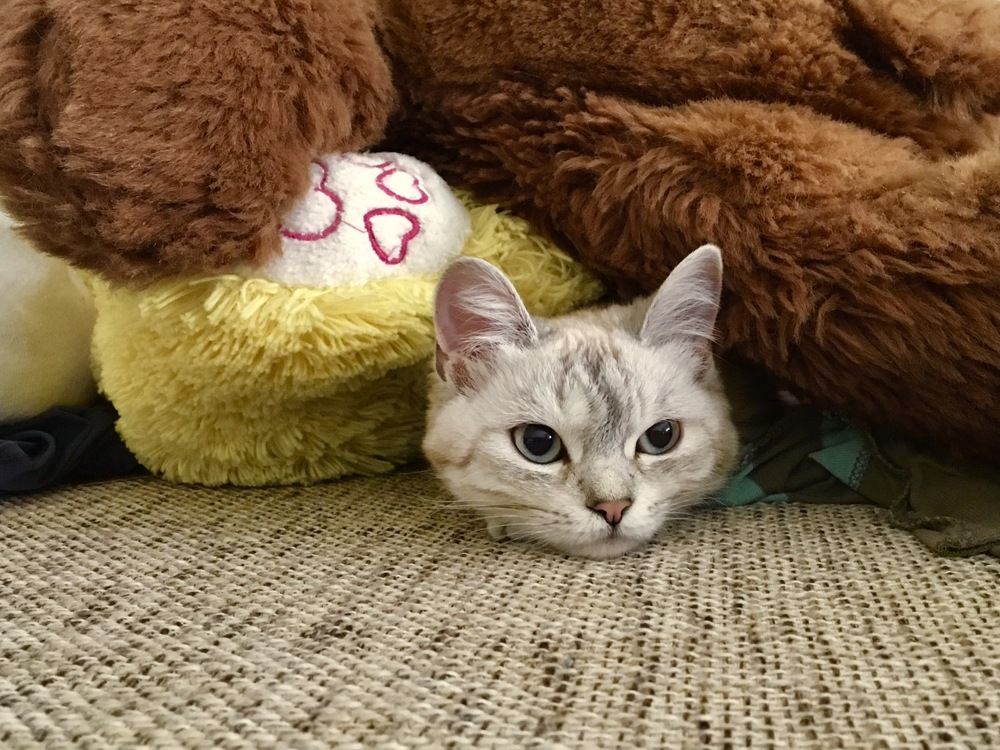 Photograph by Елена Ким