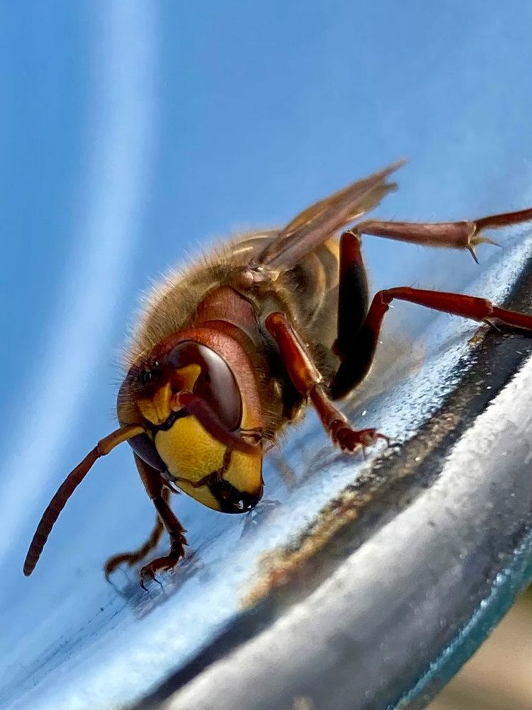 Photograph by Ирина Мошковская