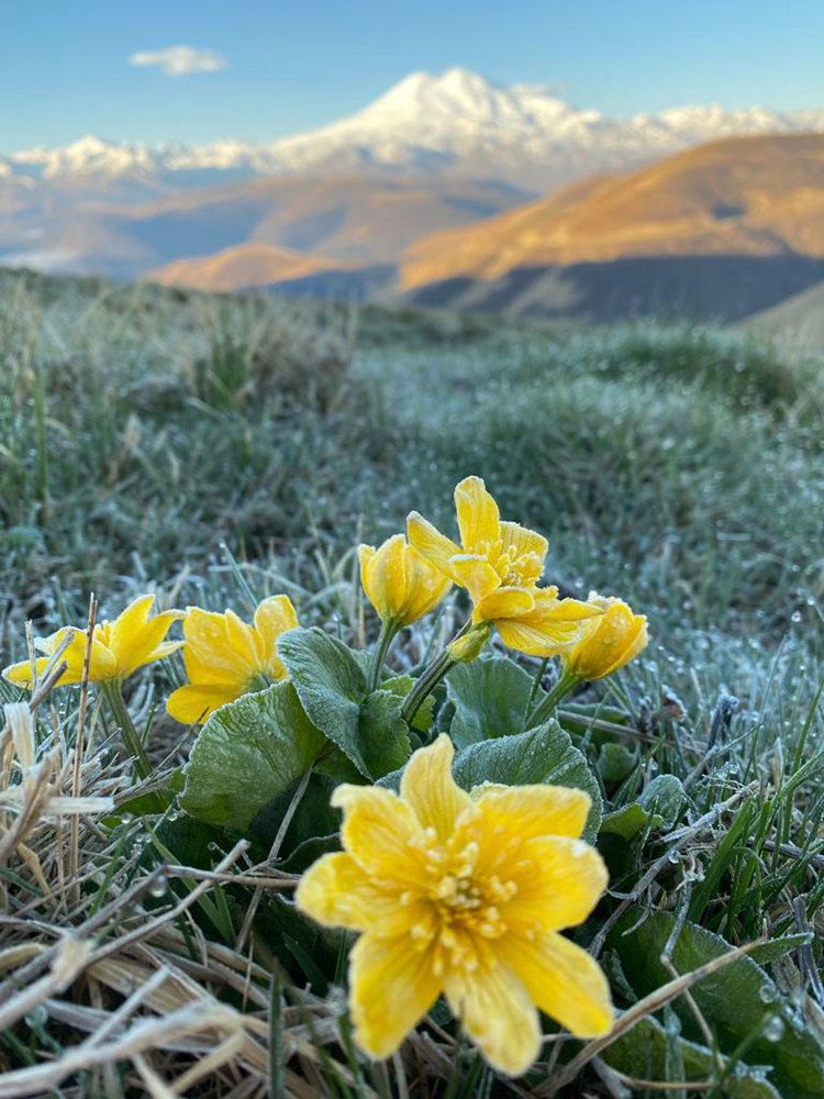 Photograph by Ирина Мошковская