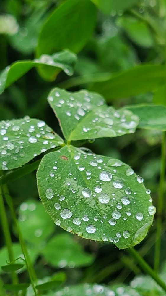 Photograph by Сергей Нагель-Синегубов