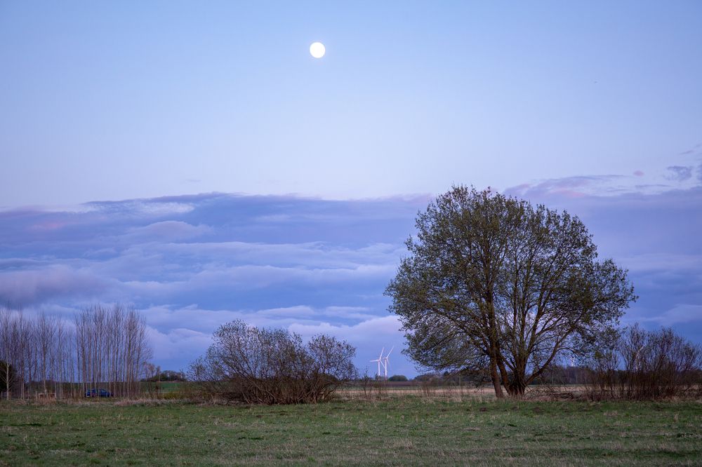 Photograph by Наталья Катюжанская