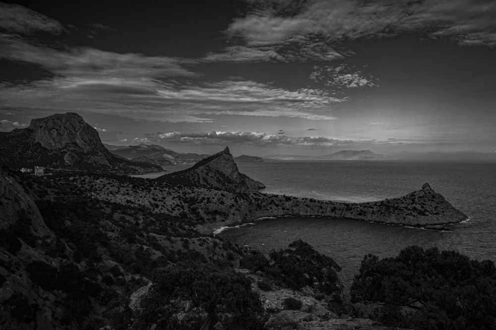 Photograph by Roman Adler