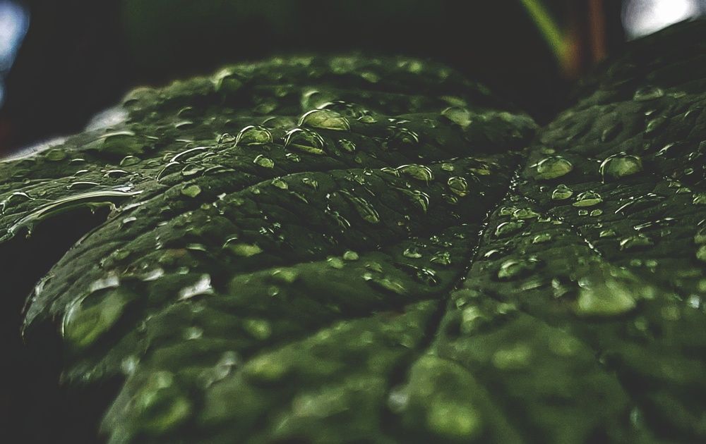 Фотография автора Шамиль