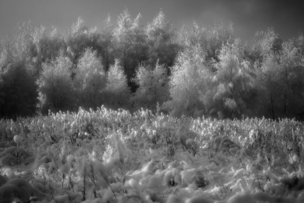 Photograph by Ершов Сергей