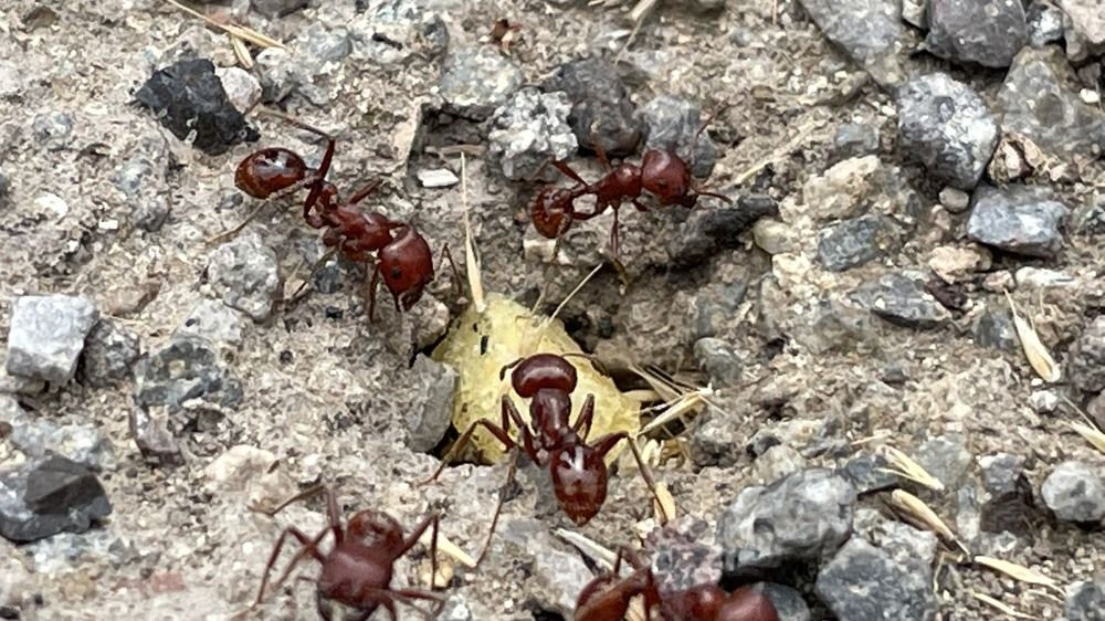 Photograph by Gerardo Jimenez