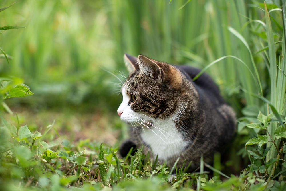 Photograph by Олег Карелов