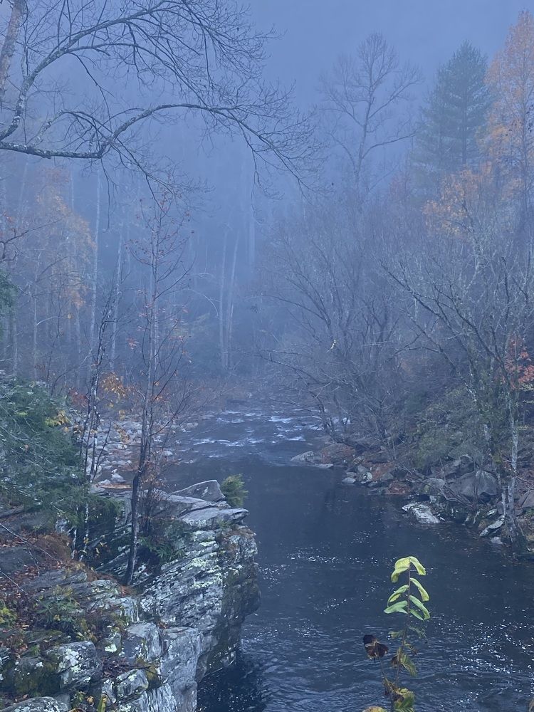 Photograph by Tyler Dewees