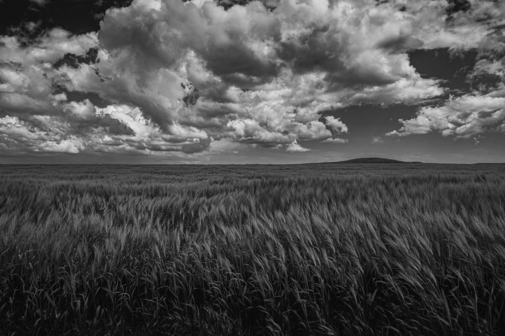 Photograph by Roman Adler