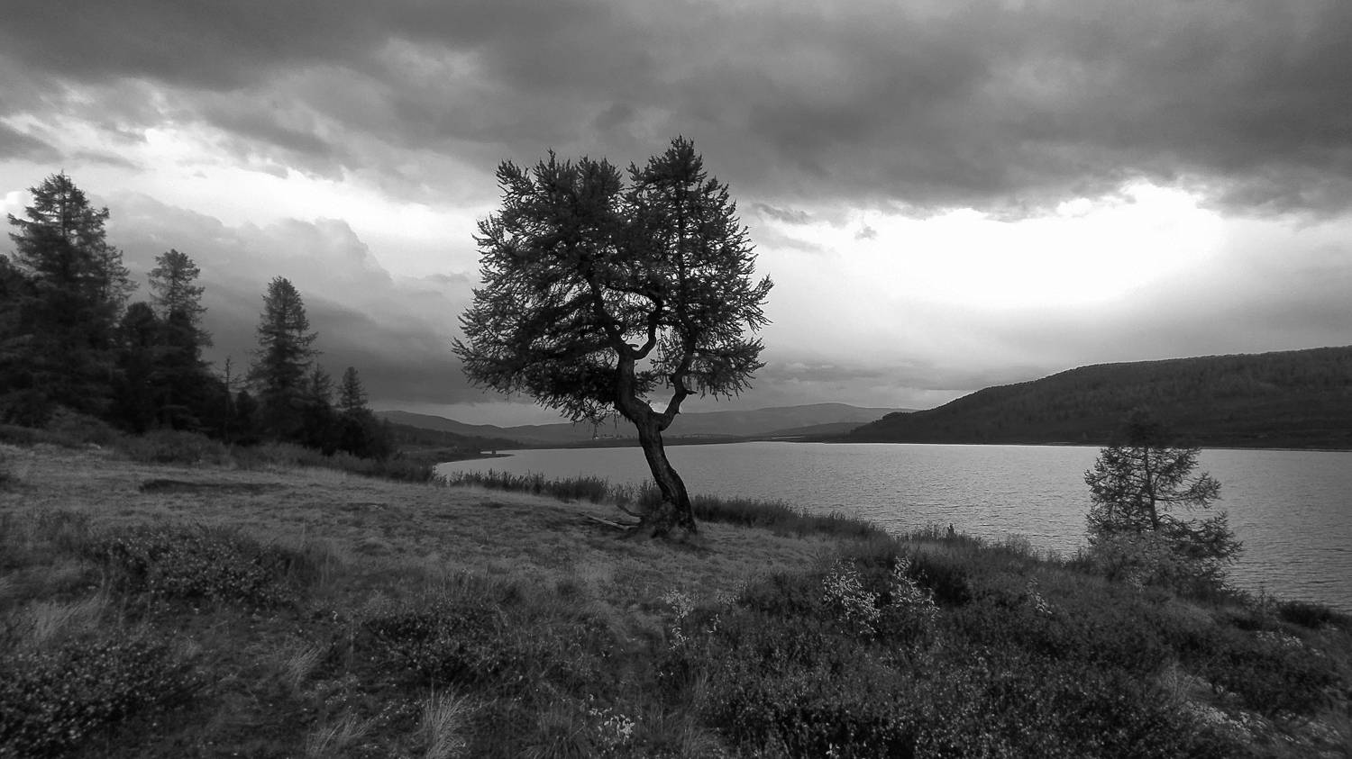 Photo #7657074