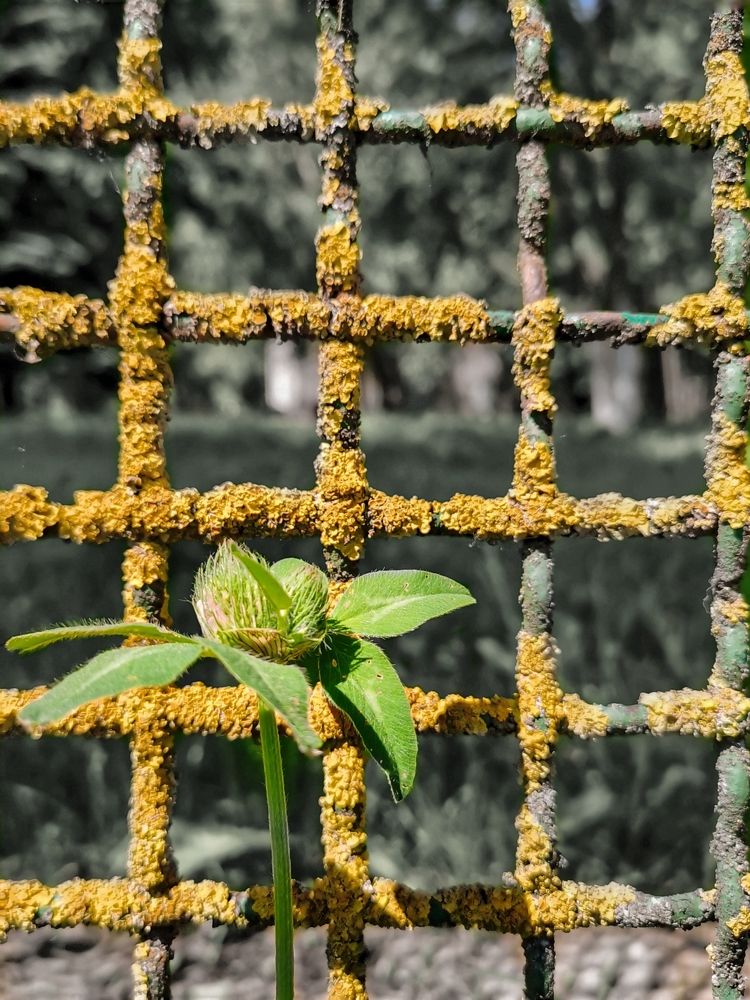 Photograph by Оксана Урбанович