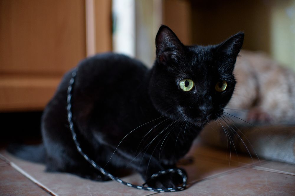 Photograph by Карина Полякова