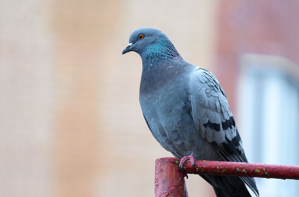 Photograph by Карина Полякова