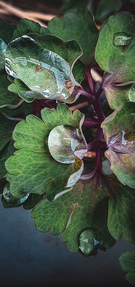 Photograph by Ажар Шайдилдинова