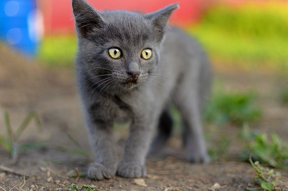 Photograph by Карина Полякова