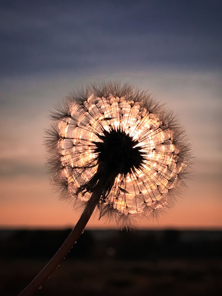 Photograph by Наталья Перерва