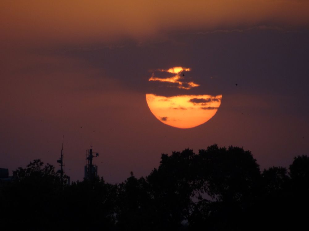 Фотография автора reza ahmadi