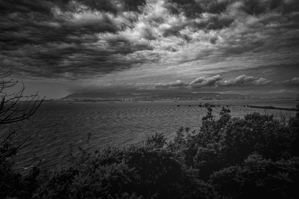 Photograph by Roman Adler