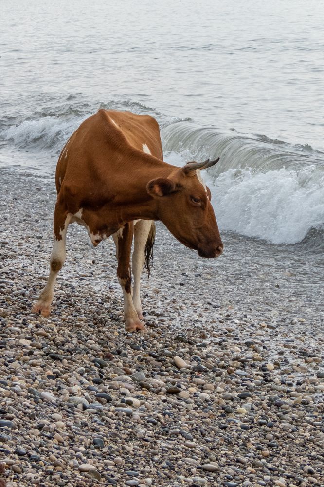 Photograph by Олег Карелов