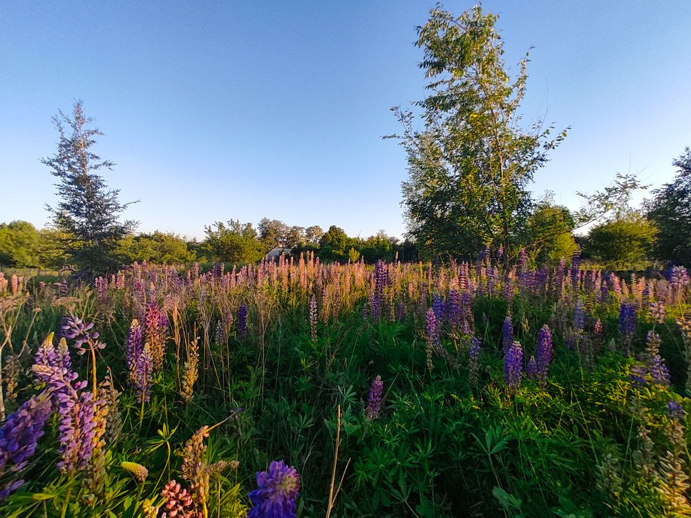 Photograph by Дмитрий Тимин