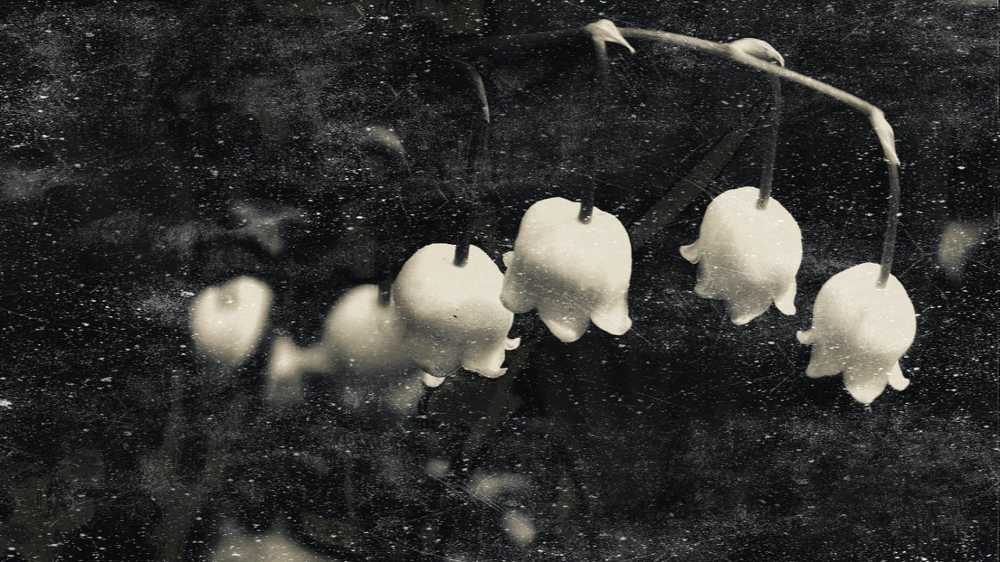 Photograph by Татьяна Ковалева