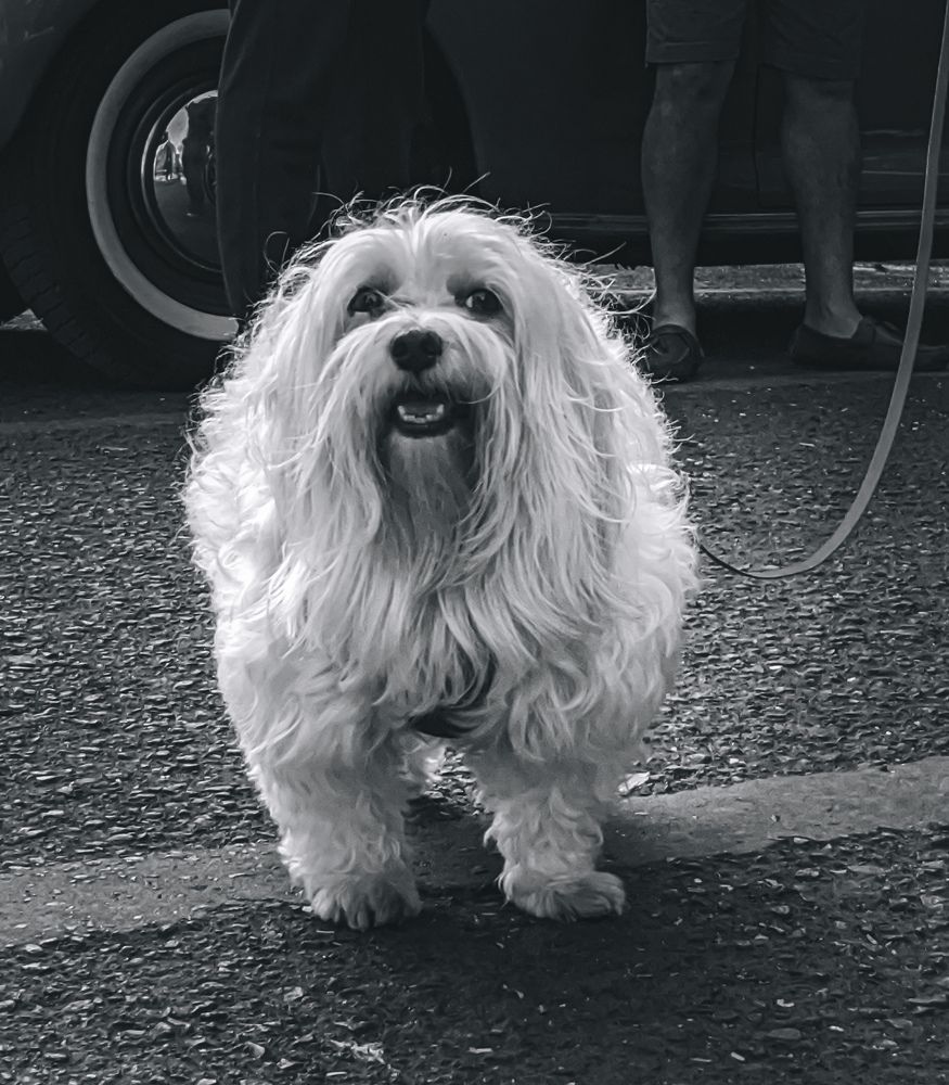 Photograph by Furqan Ahmed Golandaz