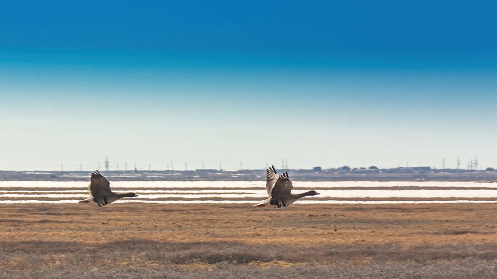 Фотография автора Ендовицкий Владимир