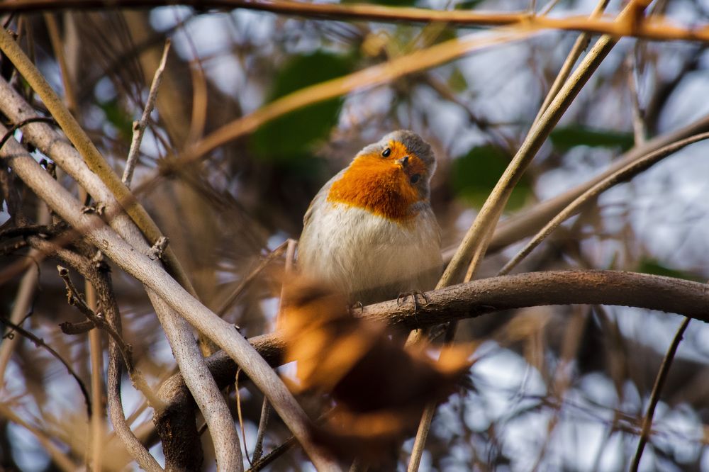 Photograph by Анна Муковозова