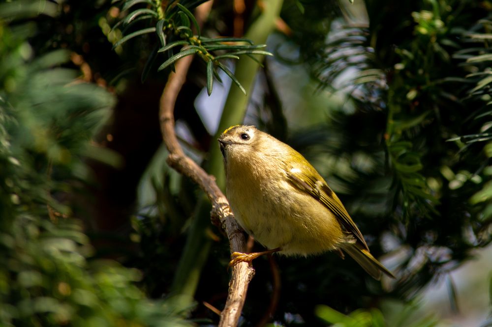 Photograph by Анна Муковозова