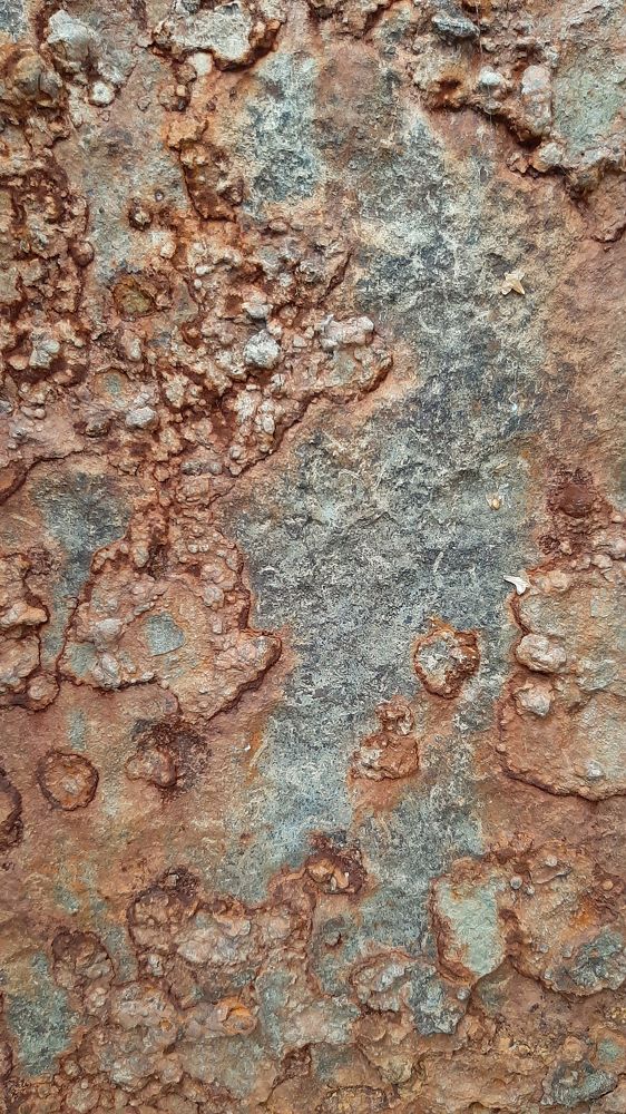 What do you think it is?