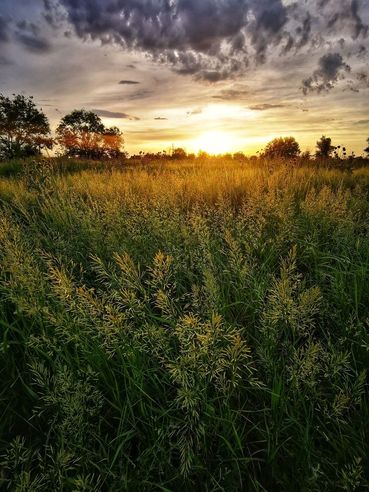 Photograph by Елена Артёменко