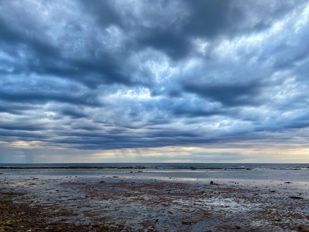 Фотография автора Юлия Шумейко