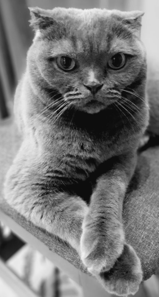 Photograph by Людмила Е.