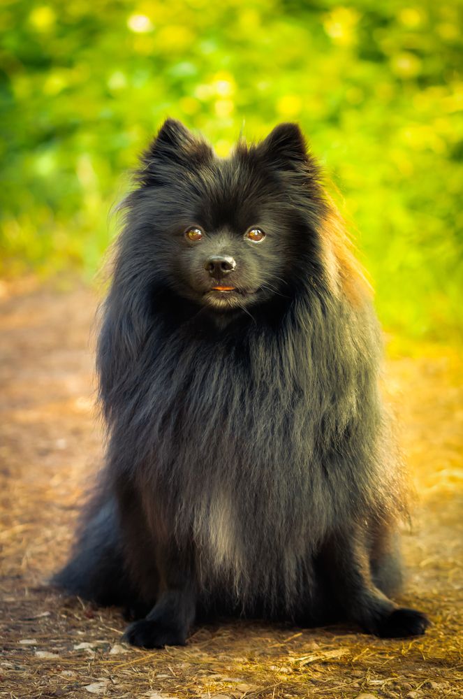 Photograph by Парфентьев Антон