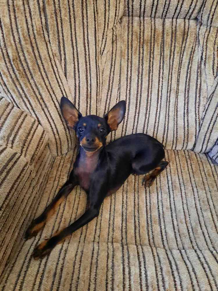 Photograph by Людмила Е.